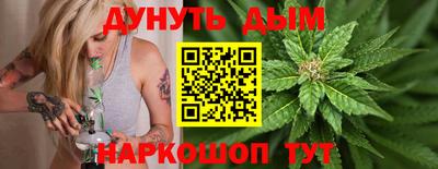 мяу мяу мука Ачхой-Мартан